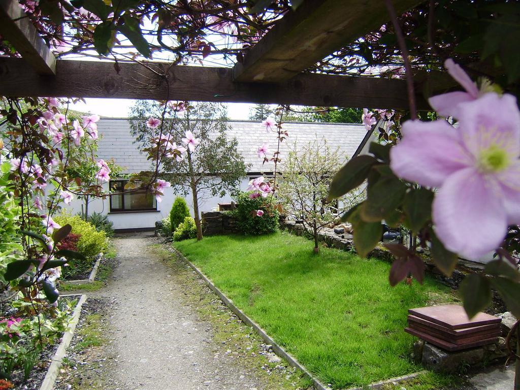 Cloverfox Connemara เล็ทเทอร์แฟรค ภายนอก รูปภาพ